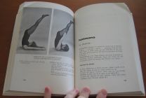 minature 2
