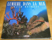 [R12471] Lumière dans la mer, David Doubilet