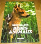 [R12980] Merveilleux bébés animaux