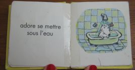 minature 2